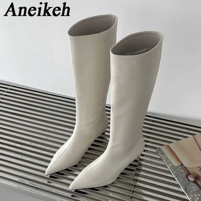 Aneikeh/2026, модные пикантные – обзор и цена Knee High Boots Women